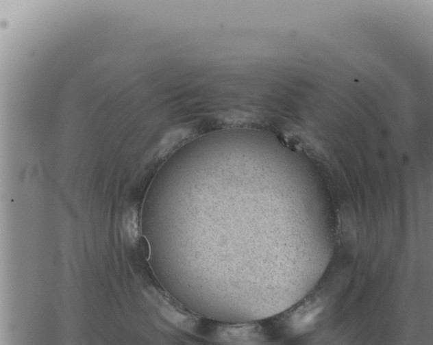 X0000062870479200601201759