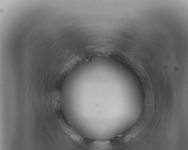 X0000062870480200601201759