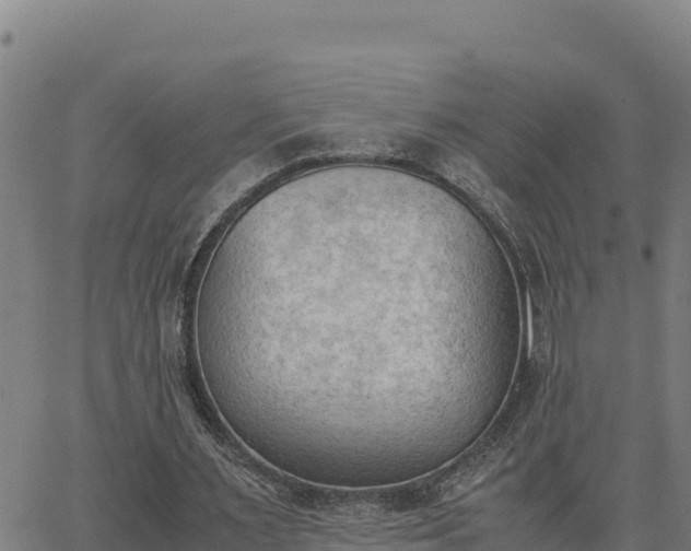 X0000062870483200601201758