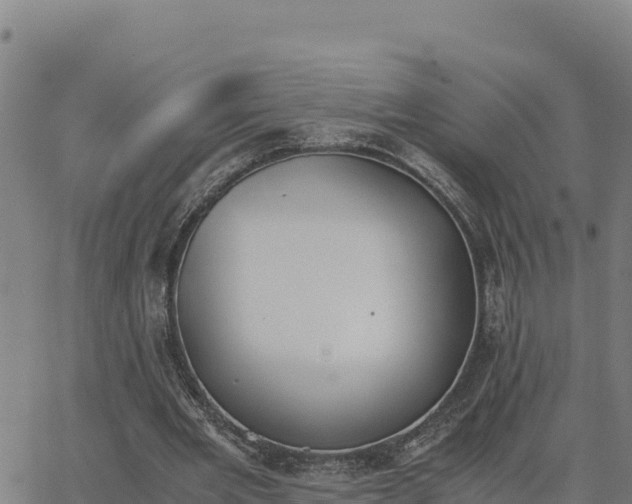 X0000062870485200601201758