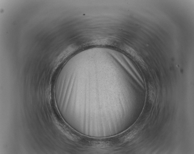 X0000062870486200601201758