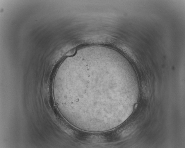 X0000062870487200601201758