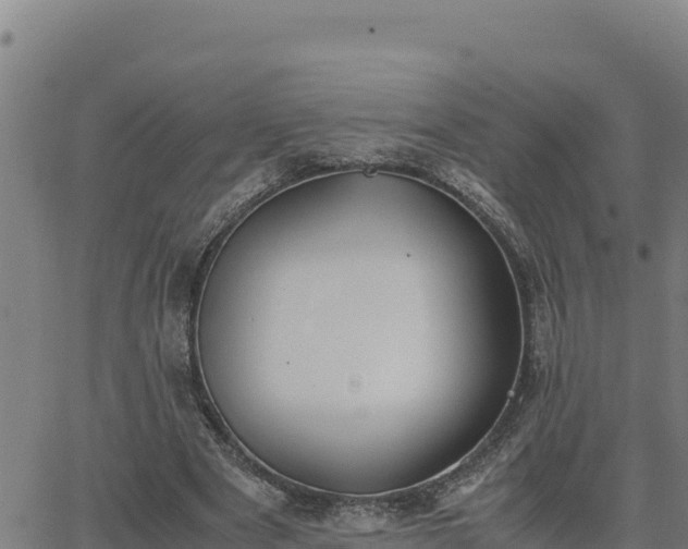 X0000062870489200601201758