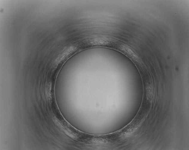 X0000062870490200601201758