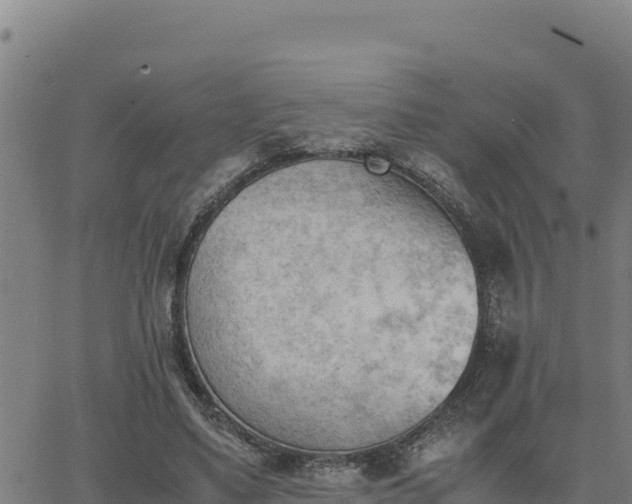 X0000062870491200601201758