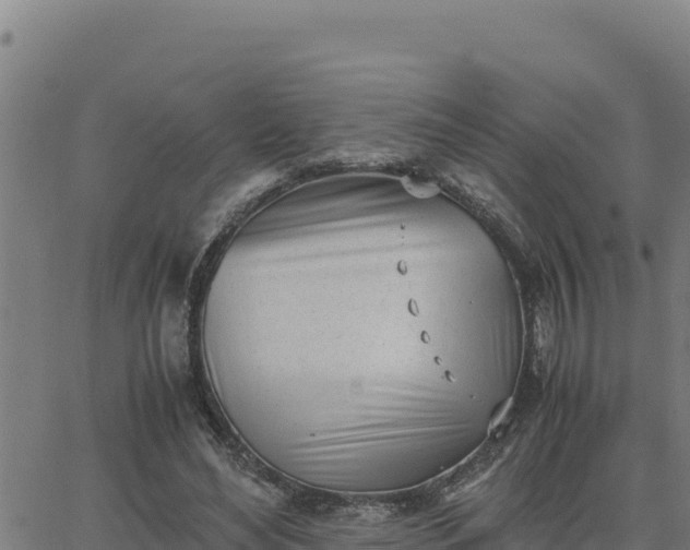 X0000062870492200601201758