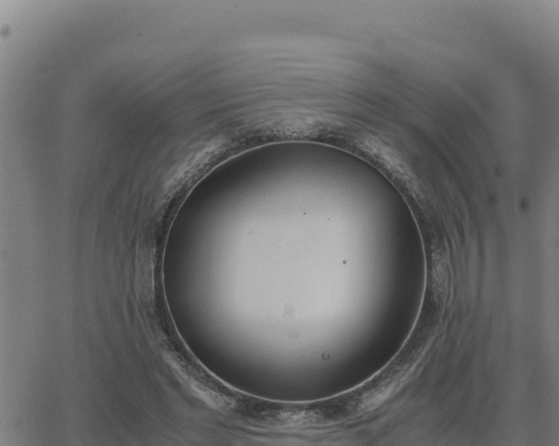 X0000062870493200601201758