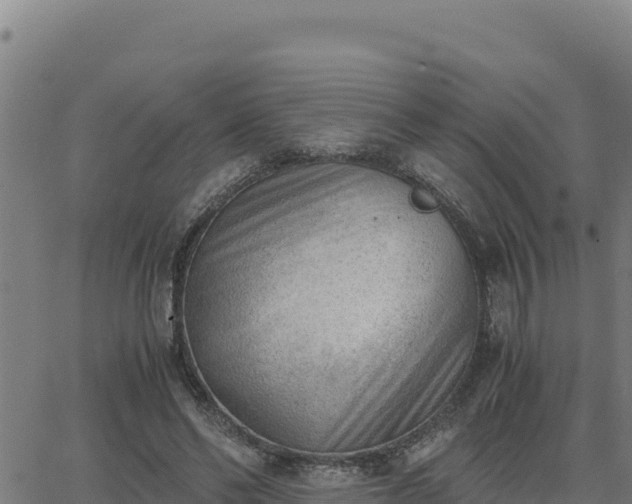 X0000062870494200601201758