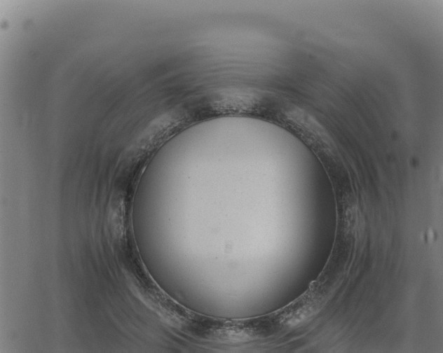 X0000062870498200601201758