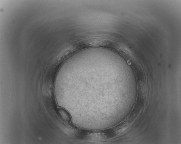 X0000062870499200601201758