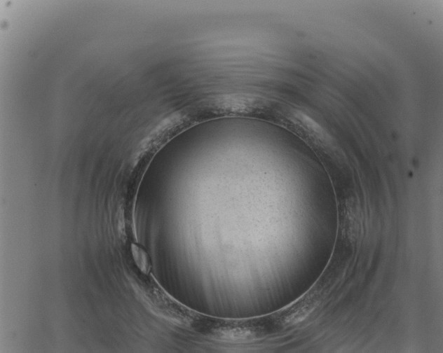 X0000062870500200601201758