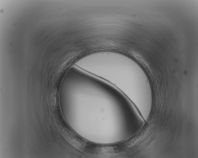 X0000062870501200601201758