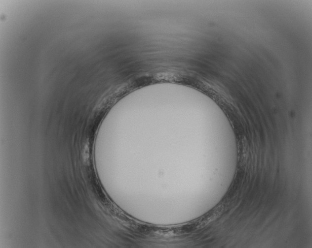 X0000062870502200601201758