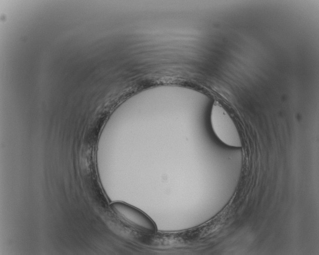 X0000062870503200601201758