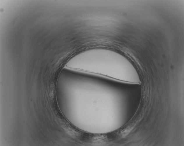 X0000062870505200601201758