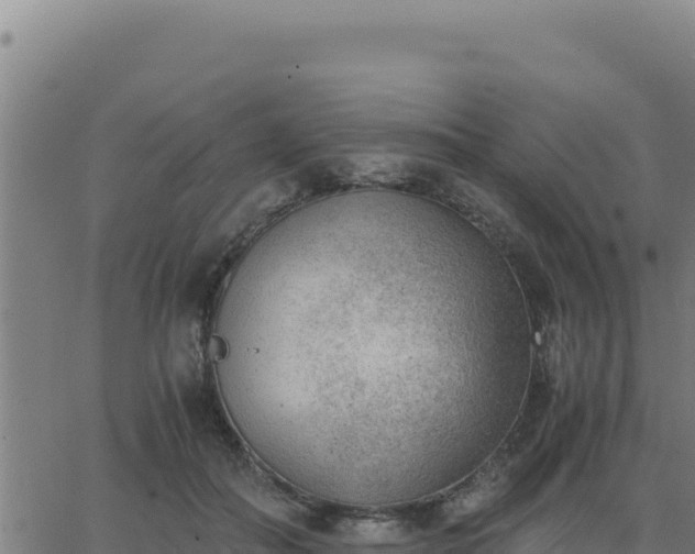 X0000062870506200601201758