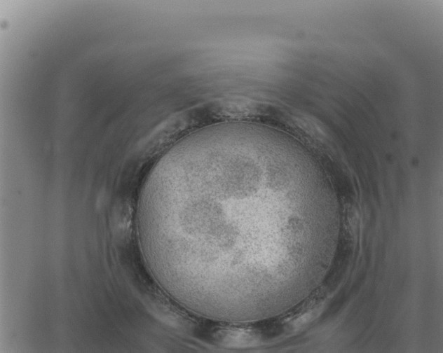 X0000062870507200601201758