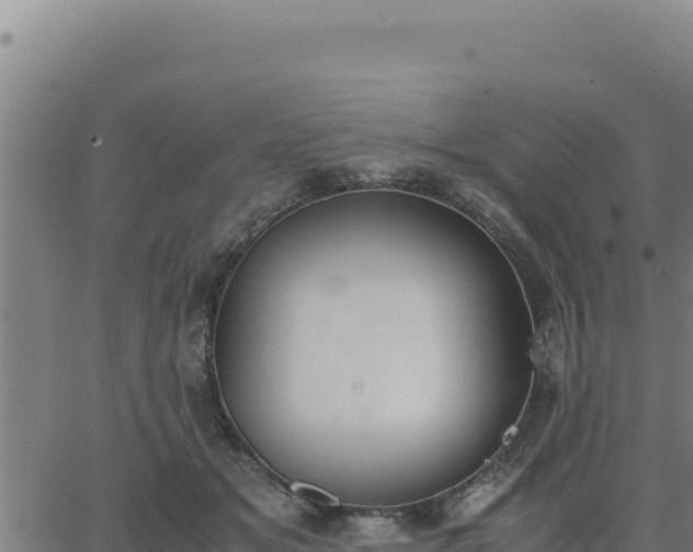 X0000062870509200601201758