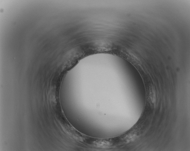 X0000062870512200601201757