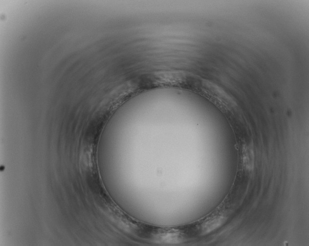 X0000062870514200601201757