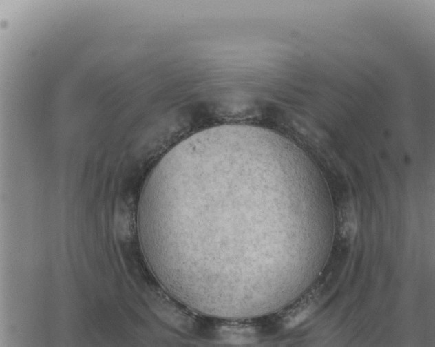 X0000062870515200601201757