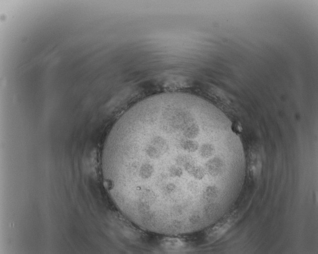 X0000062870519200601201757