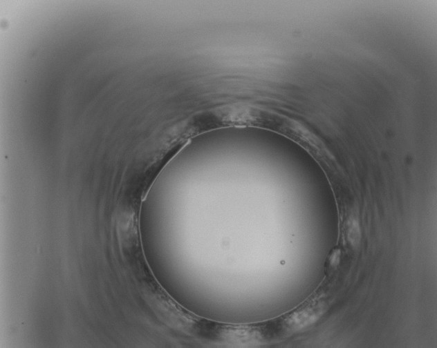 X0000062870521200601201757