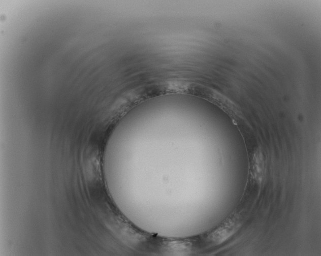 X0000062870522200601201757