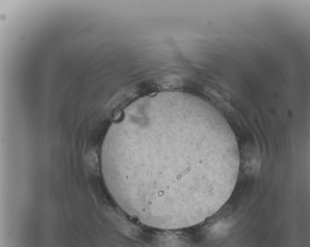 X0000062870523200601201757