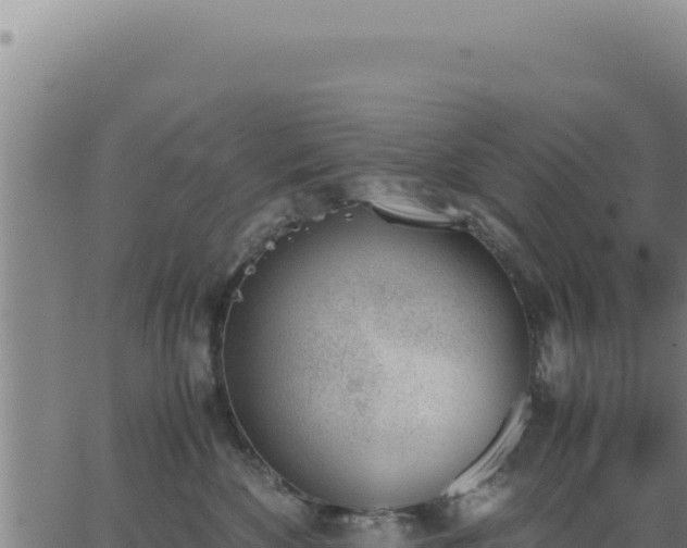 X0000062870524200601201757