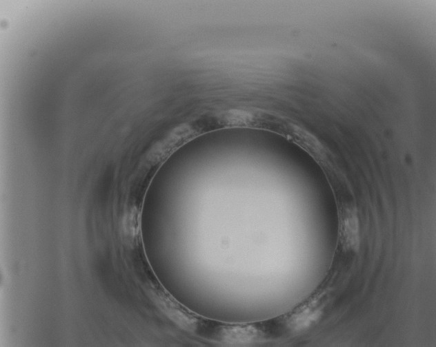 X0000062870525200601201757