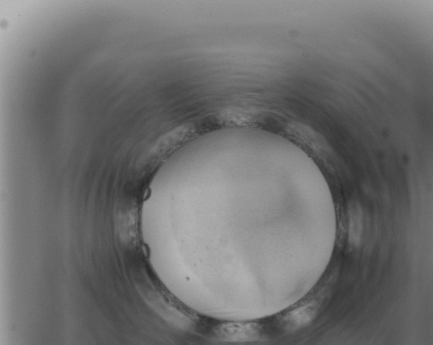 X0000062870526200601201757