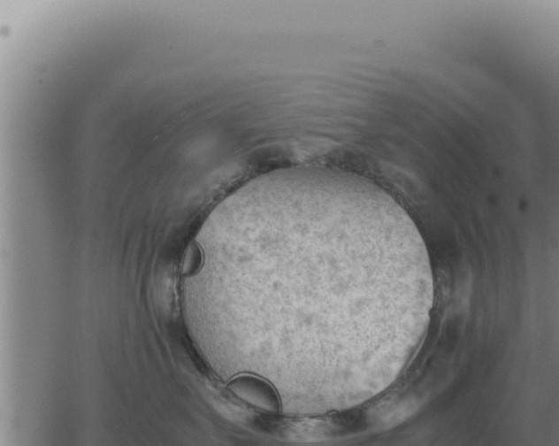 X0000062870527200601201757