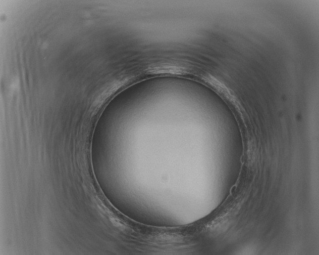 X0000062870529200601201756