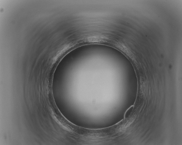 X0000062870530200601201756