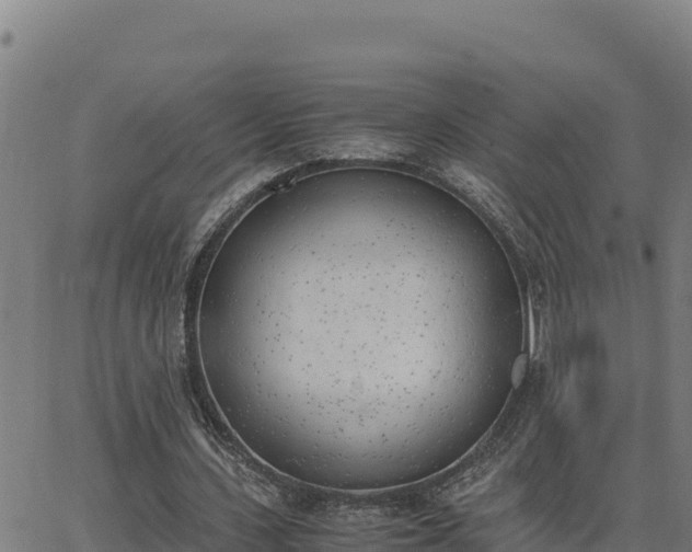 X0000062870531200601201756