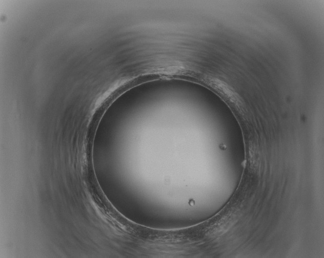 X0000062870532200601201756