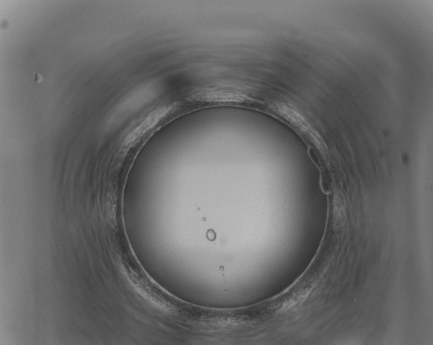 X0000062870533200601201756