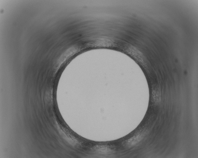 X0000062870534200601201756