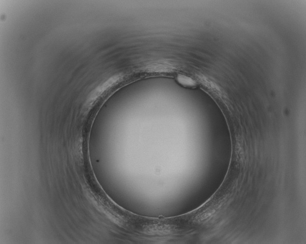 X0000062870535200601201757