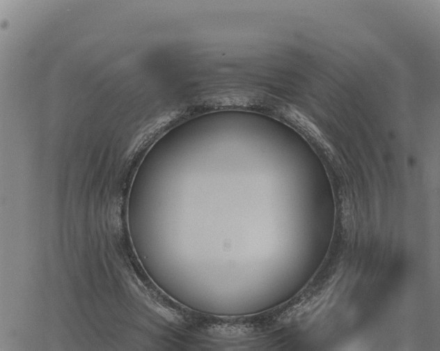 X0000062870537200601201757