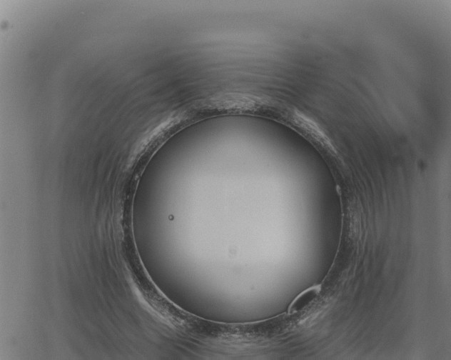 X0000062870538200601201757