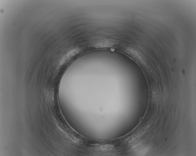 X0000062870539200601201757