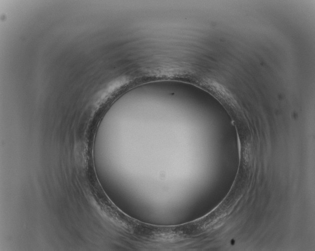 X0000062870540200601201757