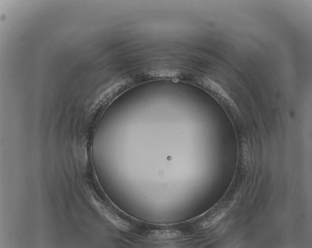 X0000062870541200601201757