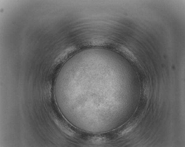 X0000062870542200601201757