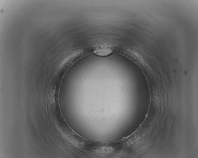 X0000062870543200601201757