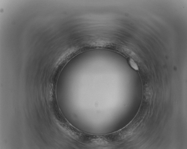 X0000062870544200601201757