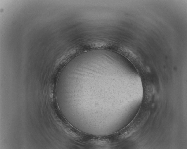 X0000062870545200601201757