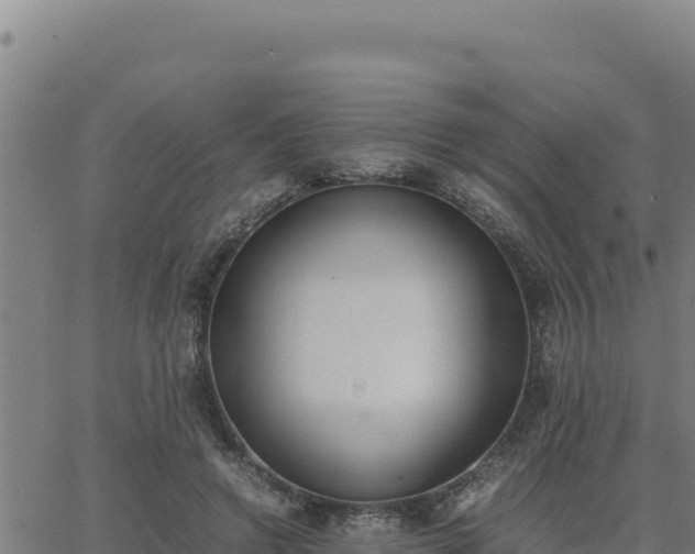 X0000062870546200601201757